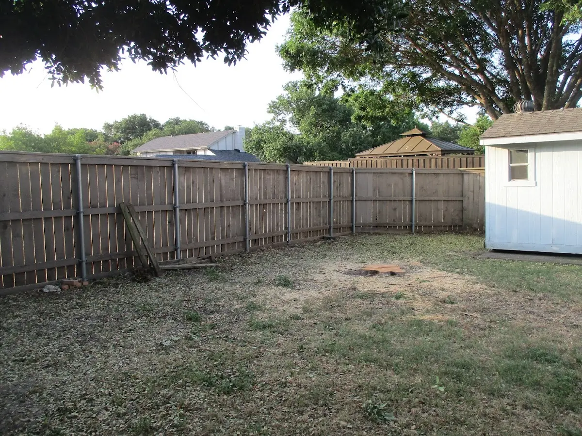 Cleared yard after professional tree removal in Tariffville